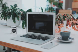 現代辦公環境中的軟硬件融合與知識共享